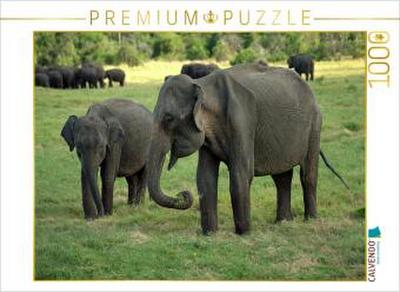 CALVENDO Puzzle Elefanten in Menneriya | 1000 Teile Lege-Größe 64x48cm Foto-Puzzle für glückliche Stunden