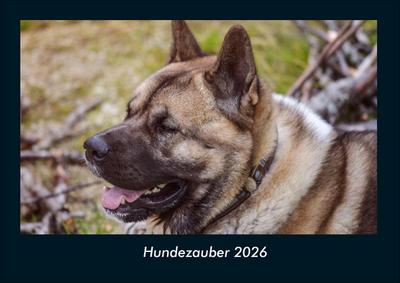 Hundezauber 2026 Fotokalender DIN A4