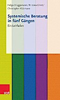Systemische Beratung in fünf Gängen