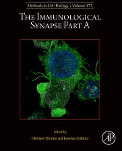 Immunological Synapse Part A