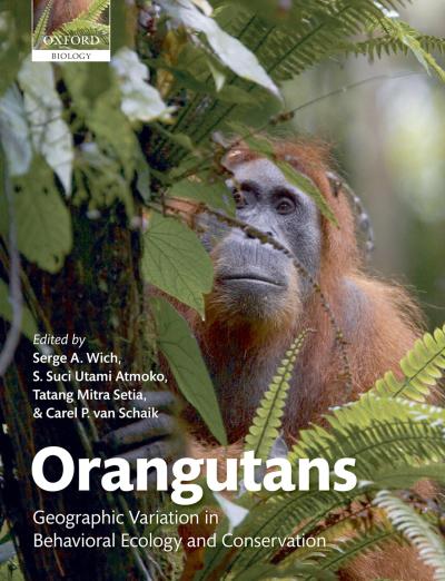 Orangutans
