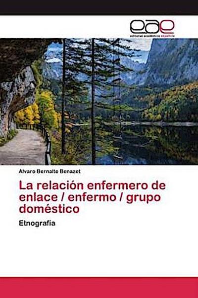 La relación enfermero de enlace / enfermo / grupo doméstico