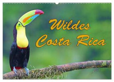 Wildes Costa Rica (Wandkalender 2026 DIN A2 quer), CALVENDO Monatskalender
