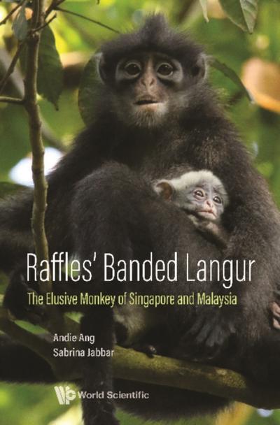RAFFLES’ BANDED LANGUR