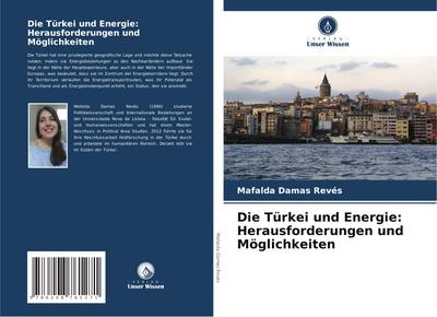 Die Türkei und Energie: Herausforderungen und Möglichkeiten