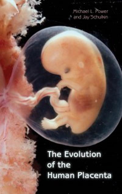 Evolution of the Human Placenta