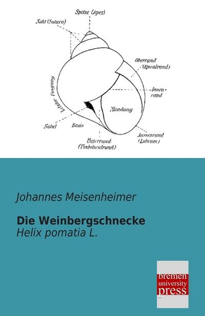 Die Weinbergschnecke