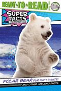 Polar Bear Fur Isn’t White!