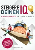 Steigere deinen IQ