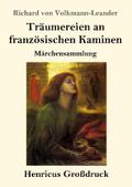 Träumereien an französischen Kaminen (Großdruck)