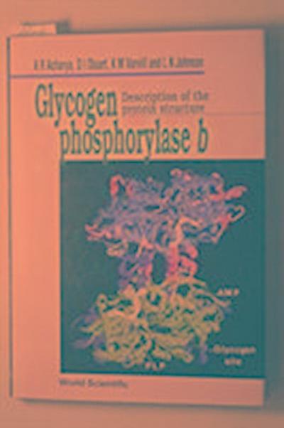 Glycogen Phosphorylase B: Description of the Protein Structure
