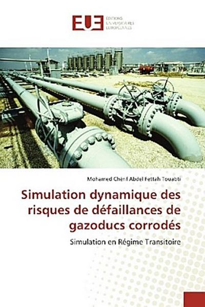 Simulation dynamique des risques de défaillances de gazoducs corrodés