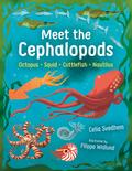 Meet the Cephalopods