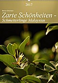 Zarte Schönheiten - Schmetterlinge MalaysiasCH-Version (Wandkalender 2017 DIN A2 hoch) - Bianca Schumann