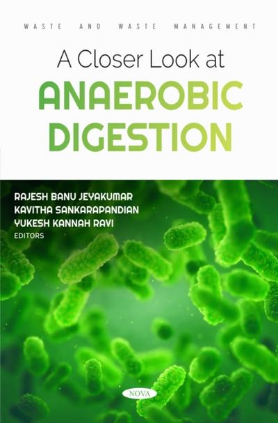 Closer Look at Anaerobic Digestion