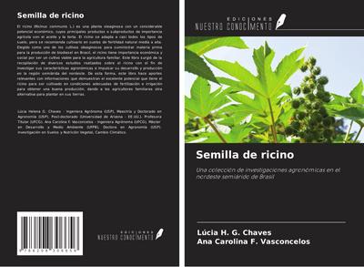 Semilla de ricino