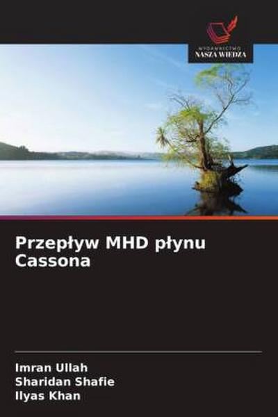 Przep¿yw MHD p¿ynu Cassona