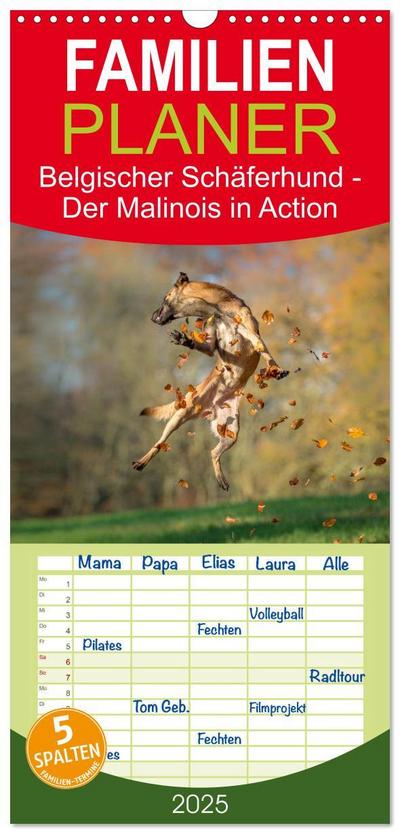 Familienplaner 2025 - Belgischer Schäferhund - Der Malinois in Action mit 5 Spalten (Wandkalender, 21 x 45 cm) CALVENDO