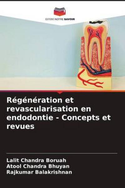 Régénération et revascularisation en endodontie - Concepts et revues