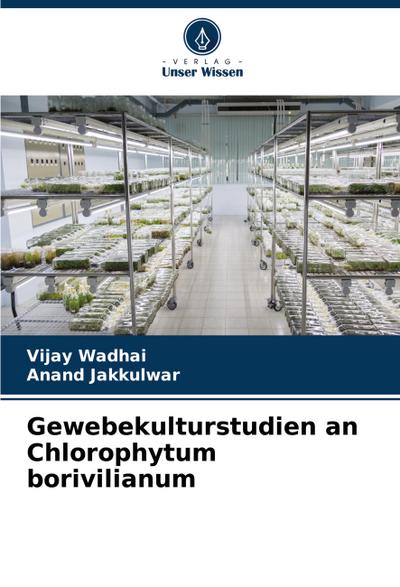 Gewebekulturstudien an Chlorophytum borivilianum