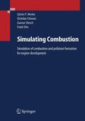Simulating Combustion