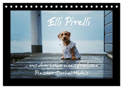 Elli Pirelli... aus dem Leben eines fröhlichen Pinscher-Dackel-Mädels (Tischkalender 2024 DIN A5 quer), CALVENDO Monatskalender