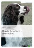 Hunde belohnen – aber richtig