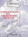 Concentrati sul cromosoma terrestre
