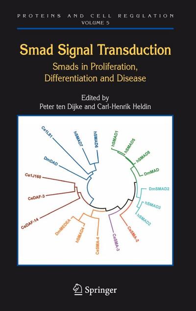 Smad Signal Transduction