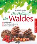 Die Heilkraft des Waldes