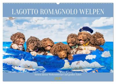 Lagotto Romagnolo Welpen - Sieben kleine Weltentdecker auf großer Fahrt (Wandkalender 2026 DIN A2 quer), CALVENDO Monatskalender