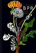Birmingham Poetry Review