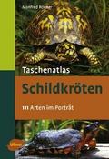 Taschenatlas Schildkröten