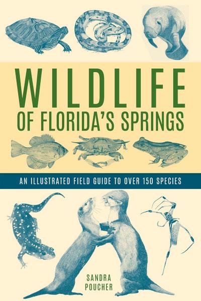 Wildlife of Florida’s Springs