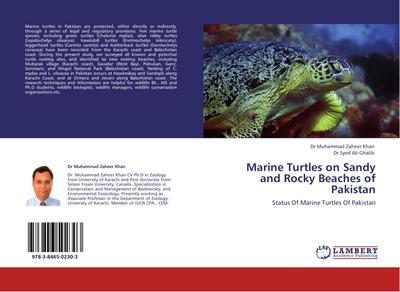 Marine Turtles on Sandy and Rocky Beaches of Pakistan