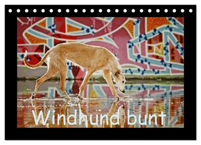 Windhund bunt (Tischkalender 2024 DIN A5 quer), CALVENDO Monatskalender