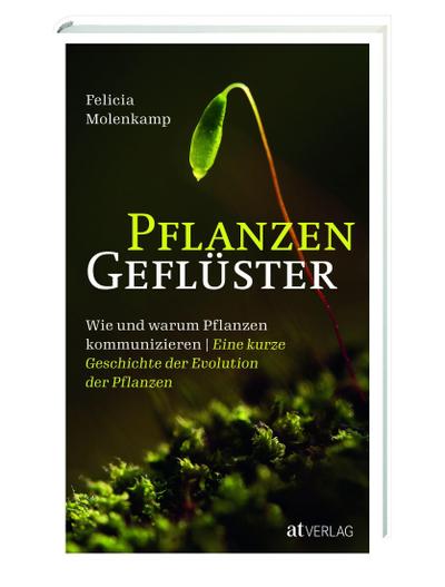 Molenkamp, Pflanzengefl�ster