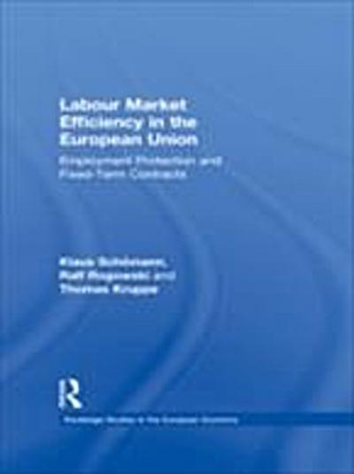 Labour Market Efficiency in the European Union