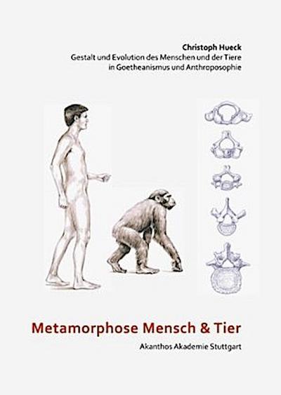 Metamorphose Mensch und Tier