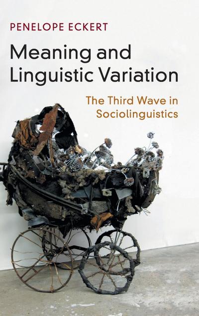 Meaning and Linguistic Variation