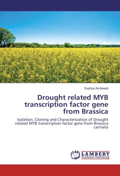 Drought related MYB transcription factor gene from Brassica