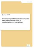 Konzipierung und Implementierung eines Risikomanag