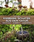 Essbare Schätze aus der Natur: Erkennen - Sammeln - Zubereiten