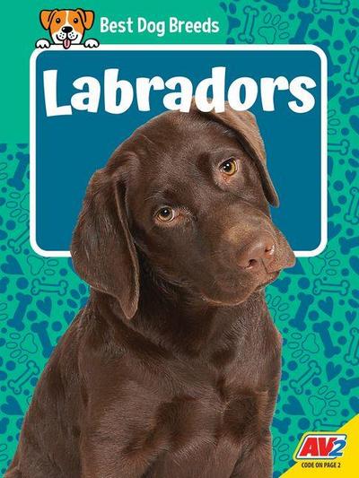 Labradors