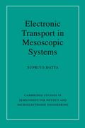 Electronic Transport in Mesoscopic Systems