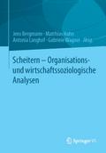Scheitern - Organisations- und wirtschaftssoziologische Analysen