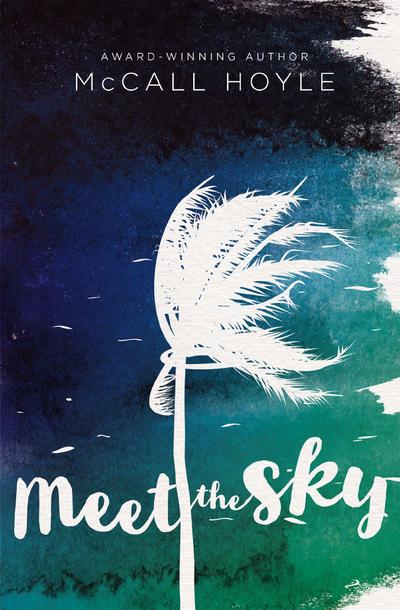 Meet the Sky