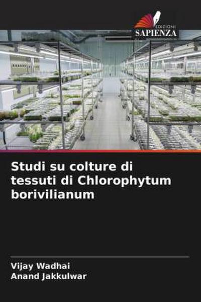 Studi su colture di tessuti di Chlorophytum borivilianum