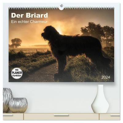 Der Briard 2024 - Ein echter Charmeur (hochwertiger Premium Wandkalender 2024 DIN A2 quer), Kunstdruck in Hochglanz
