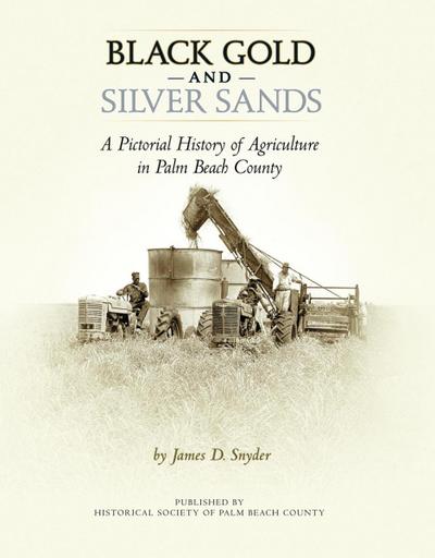 Black Gold and Silver Sands: